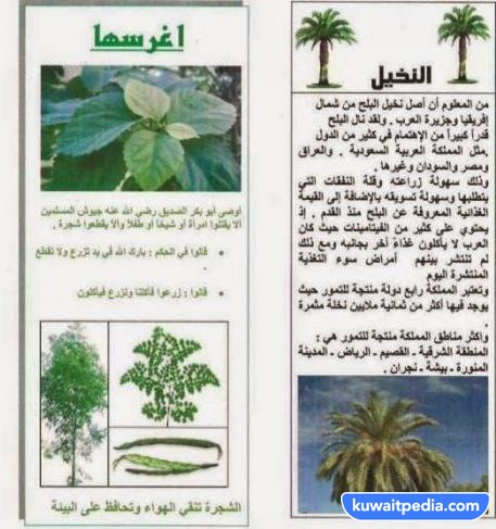 مطويات عن أهمية يوم التخضير
