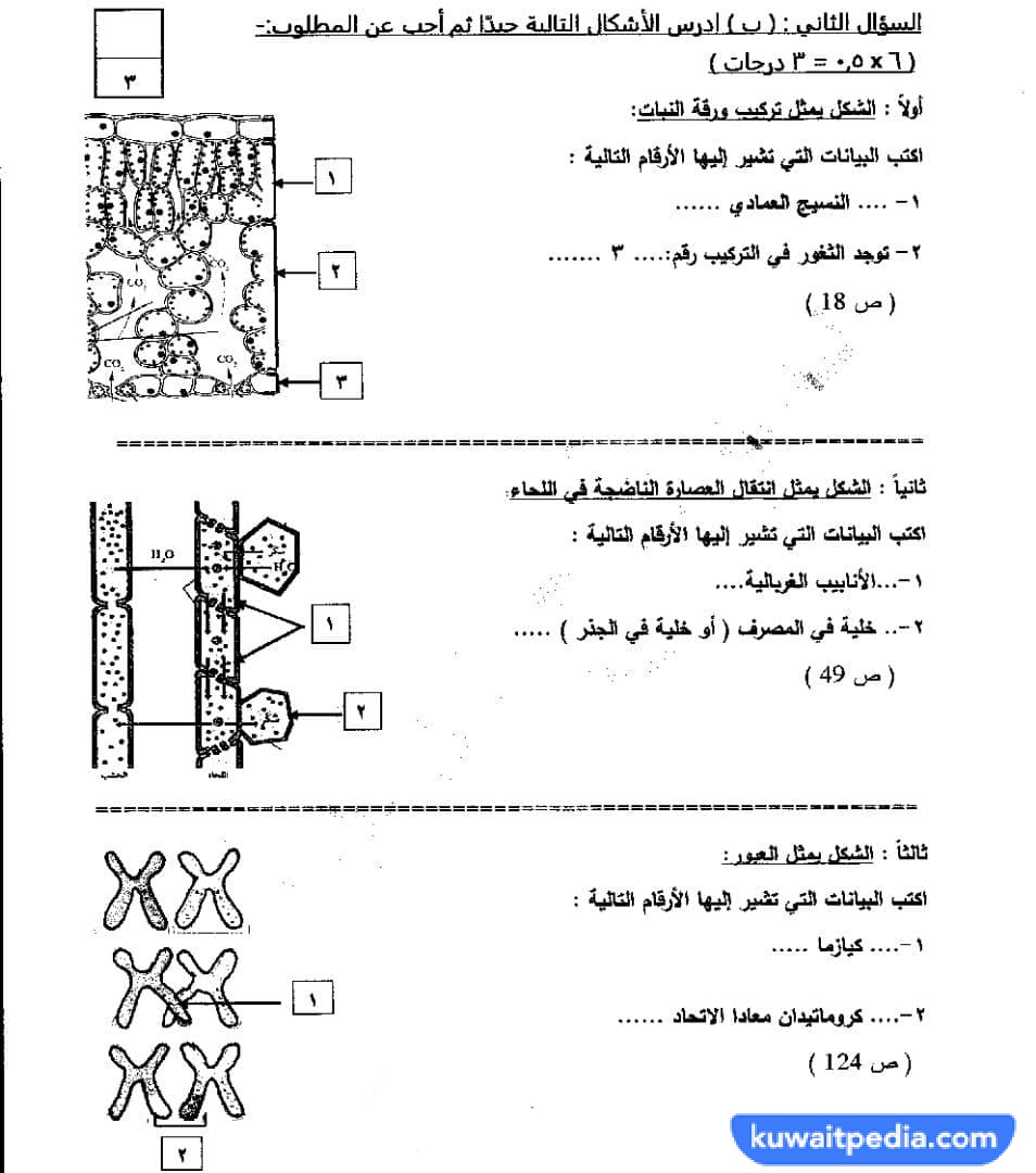 نموذج اجابة اختبار الأحياء للصف الحادي عشر