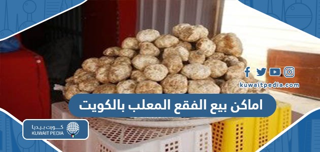 اماكن بيع الفقع المعلب بالكويت 2025 “العناوين والاسعار”