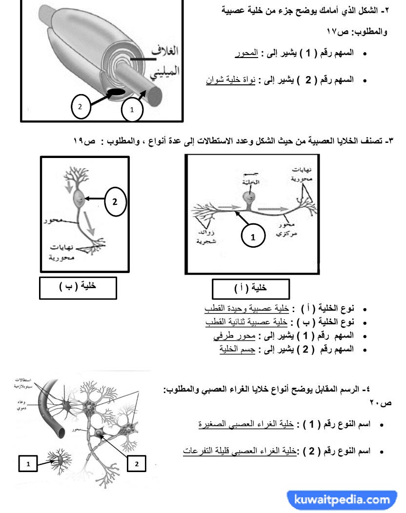 بنك اسئلة احياء ثاني عشر الفصل الاول