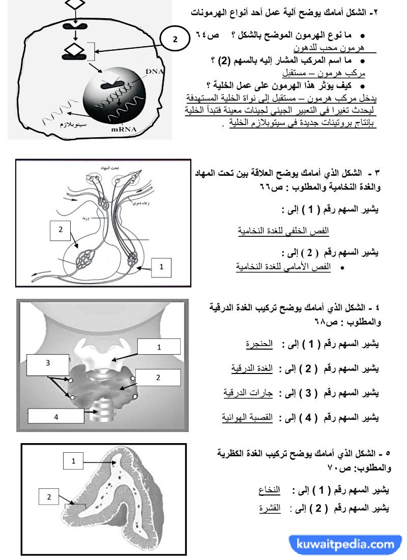 بنك اسئلة احياء ثاني عشر الفصل الاول