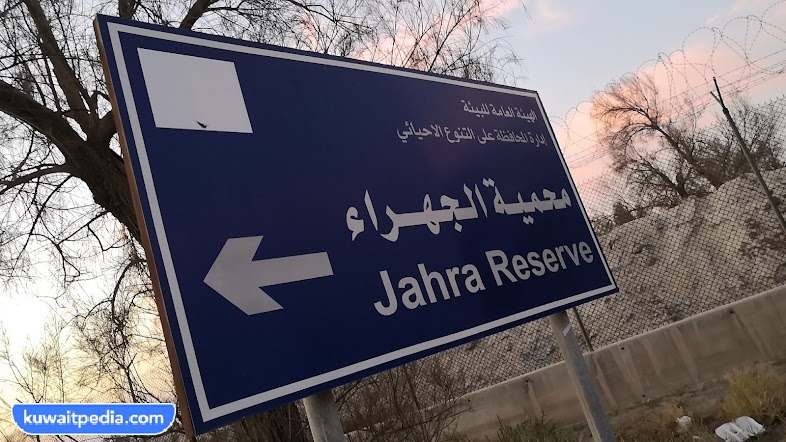 رابط استخراج تصريح دخول محمية الجهراء للهواة